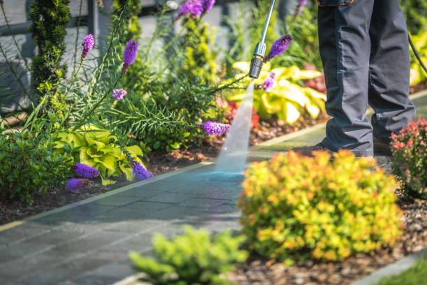 Best Parking Lot and Garage Cleaning  in Old Miakka, FL